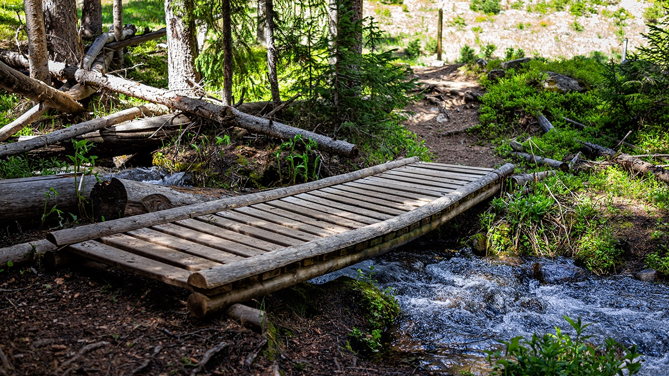 Rustic wooden bridge along a scenic mountain trail