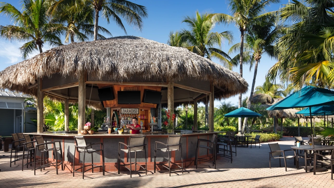 A tiki-themed bar sits under green palms and blue skies