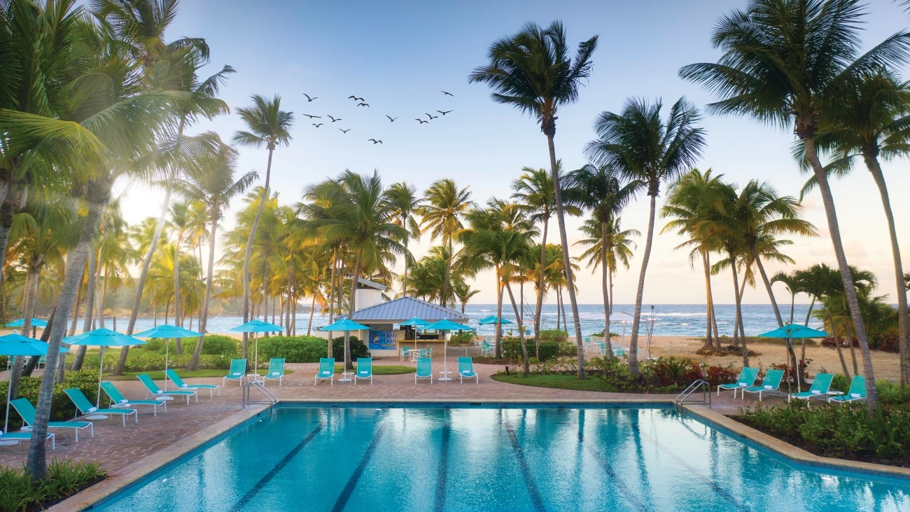 A flock of birds fly over the beach as a swimming pool is lined by chairs