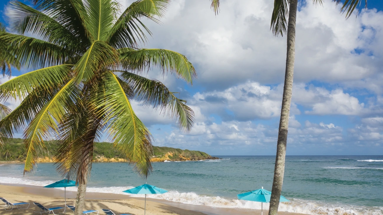 Ocean with lounge chairs and umbrellas on the beach