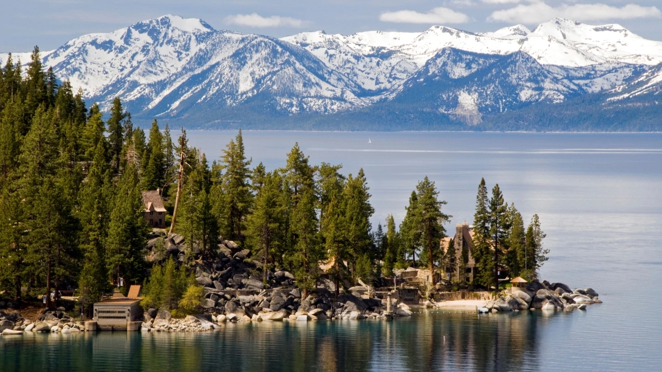 Majestic view of a lake shoreline with many tall pine trees, with snow-capped mountains in the background