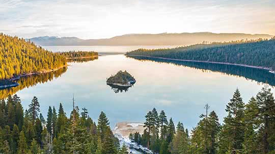 Aerial lake view with shimmering waters and countless tall pine trees along the shoreline