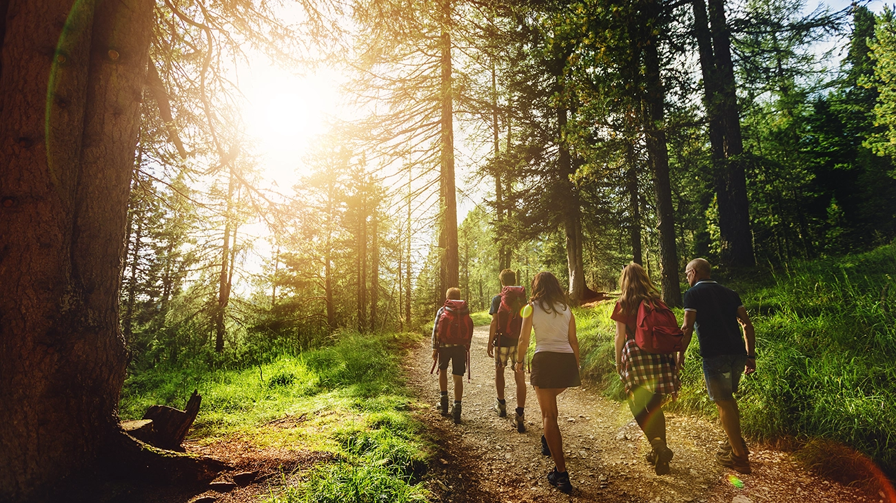Group of people walking through the forest