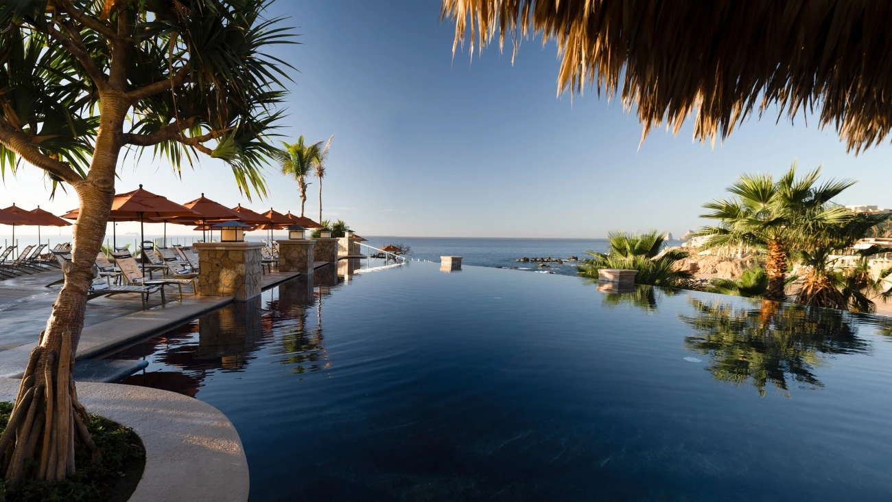 Infinity pool with palm trees, lounge chairs, and a view of the ocean