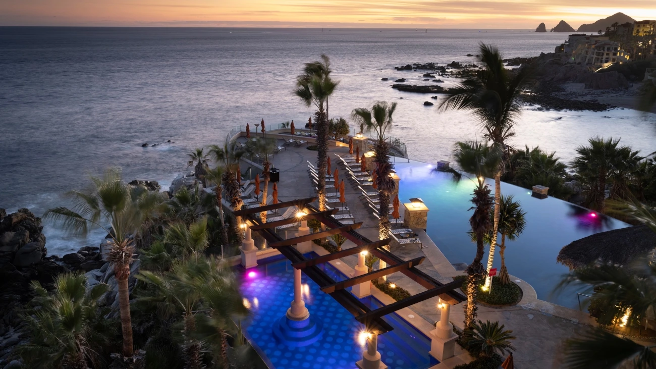 Aerial view of the resort, palm trees, infinity pool, and ocean