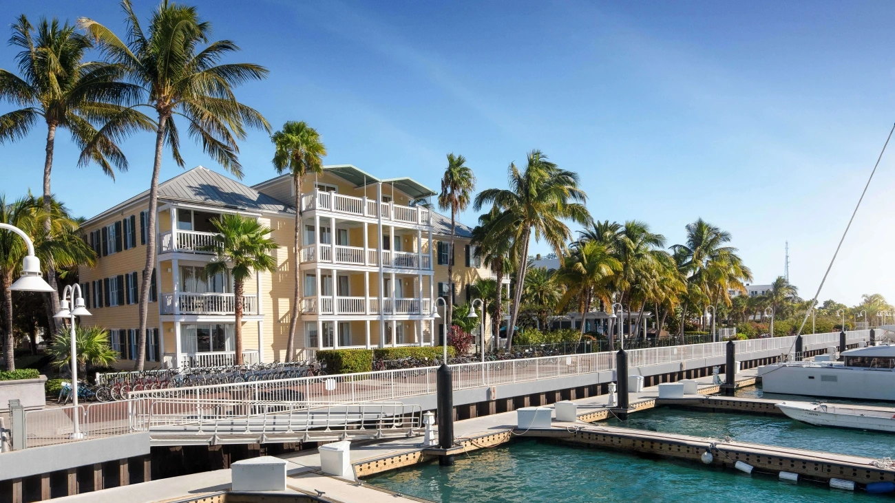 Waterside resort with palm trees