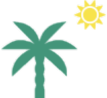 Palm tree and sun graphic